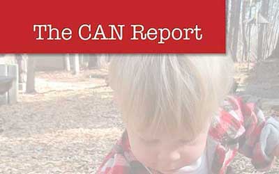 The CAN Report: The State of the Field of Community Cultural Development